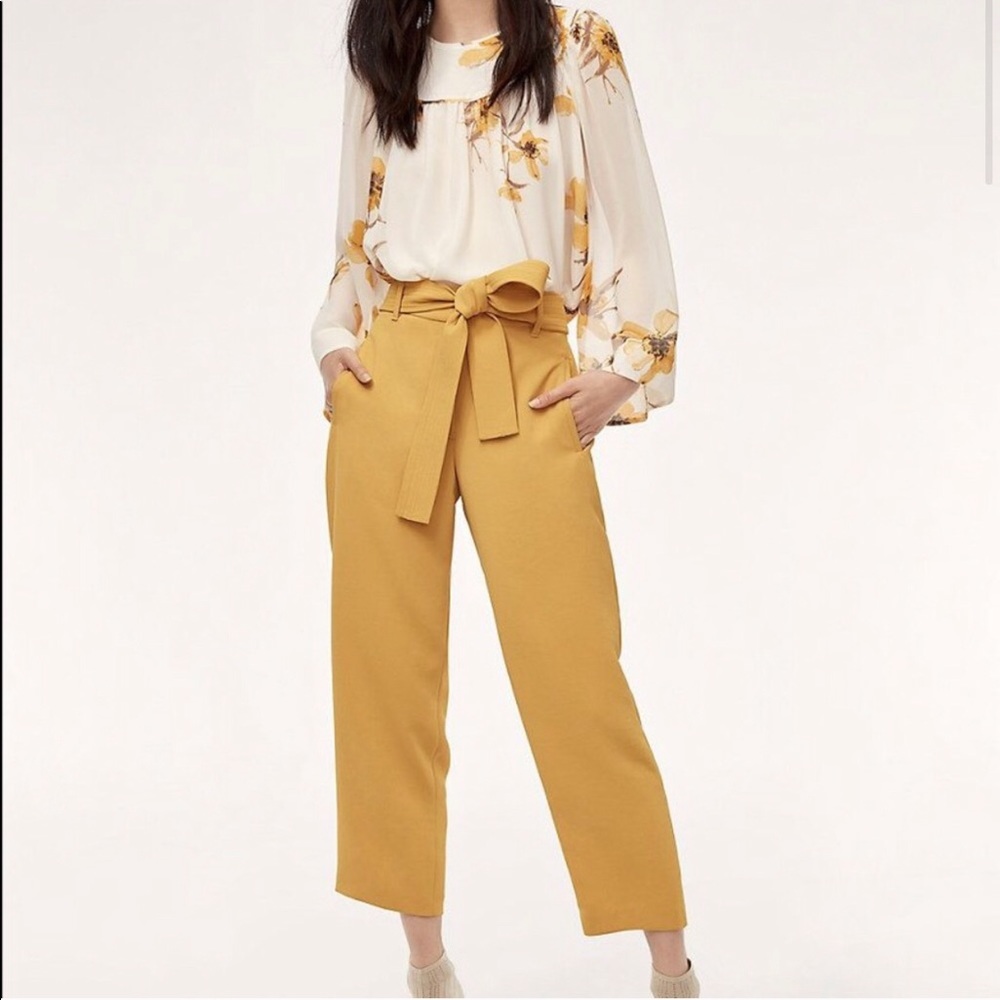 Aritzia Tie-Front Cropped Pants